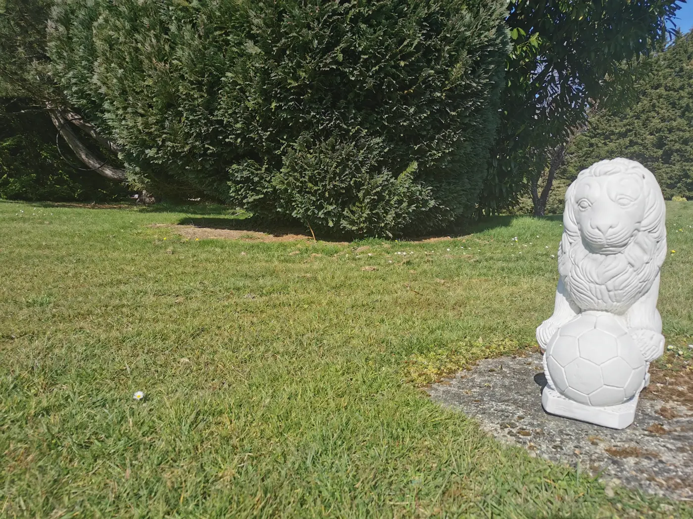 Un lion de pierre dans le jardin
